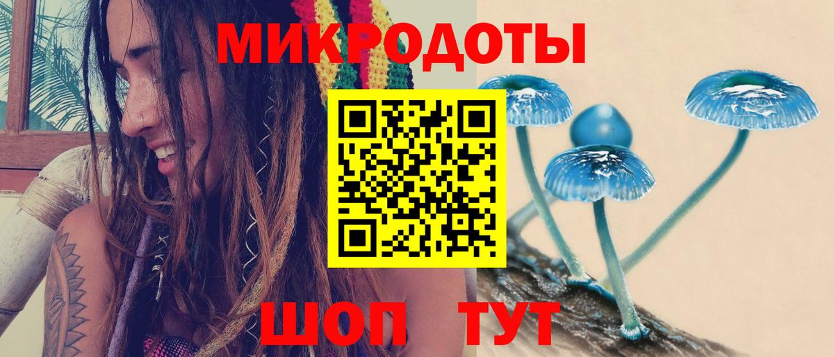 Псилоцибиновые грибы GOLDEN TEACHER  Вход с VPN  Кушва 